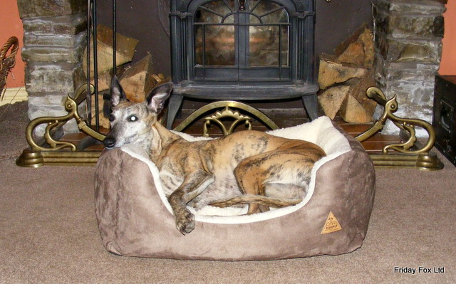 Kalahari Dog Bed